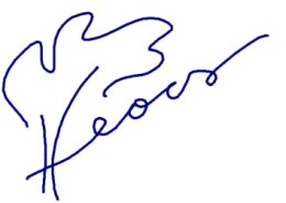 eors solo logo